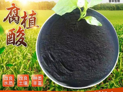 山西厂家腐殖酸原料 70%有机质腐殖酸原粉 有机复合肥原料图2