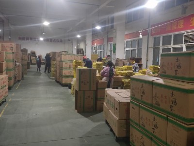 农二农五虫草土鸡蛋，养殖场直供，日捡日发，全国物图4