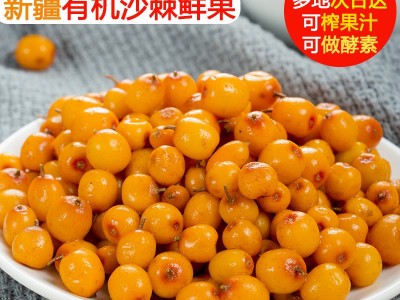 新疆沙棘果2kg起批冷链运输 沙棘鲜果沙棘冻果做沙棘酵素沙棘汁  2kg起批图5