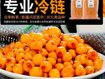 新疆沙棘果2kg起批冷链运输 沙棘鲜果沙棘冻果做沙棘酵素沙棘汁  2kg起批图3