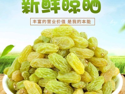 新疆特产提子葡萄干肉质饱满个大均匀酸甜可口 葡萄干500g  2袋起批图3