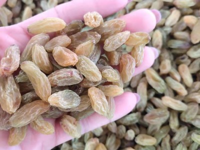 新疆特产提子葡萄干肉质饱满个大均匀酸甜可口 葡萄干500g  2袋起批图4
