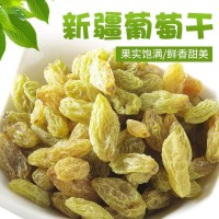 新疆特产无核大粒绿提子葡萄干休闲食品500克装 葡萄干  2袋起批