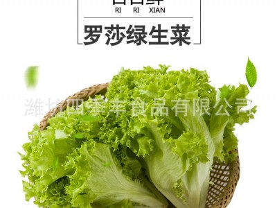 罗莎绿生菜叶新鲜农产品 当季采摘净菜凉拌生菜 超市餐厅袋装供应图1