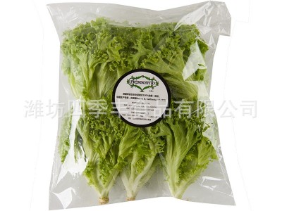 罗莎绿生菜叶新鲜农产品 当季采摘净菜凉拌生菜 超市餐厅袋装供应图5