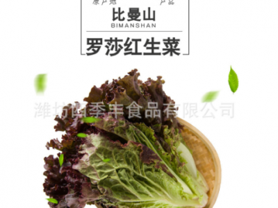 罗莎红生菜 新鲜蔬菜净菜整颗 连锁餐厅 超市批发商 厂家批发供应图1