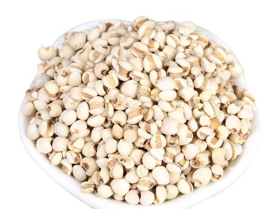 厂家批发熟小薏米 现磨坊磨粉代用茶原料 低温烘焙熟小薏仁图5