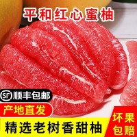 红心柚子新鲜密柚应季当季水果红肉柚子现摘福建红心蜜柚  2箱起批