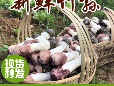 云南特产新鲜竹荪散装包邮清香爽口食用菌产地供应新鲜带裙竹荪  2件起批图1