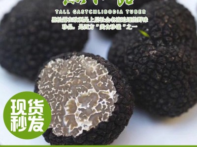 新鲜食材松露云南特产食用菌散装黑松露批发菇块菌猪拱菌煲汤食材  2件起批图1