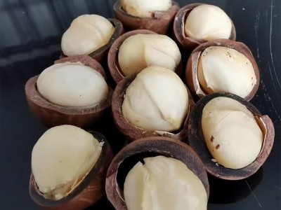 坚果炒货休闲零食夏威夷果 云南澳洲坚果整箱装5KG原味奶香图1