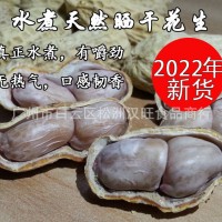 2022年新货白玉咸干花生农家水煮花生白晒咸干盐水煮花生1包50斤