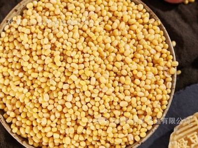 现货去皮绿豆25kg/袋厂家供应新鲜脱皮绿豆无皮绿豆仁去皮绿豆瓣图5