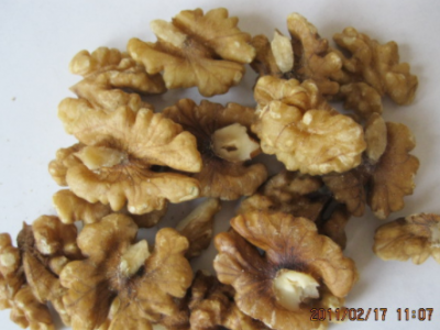 核桃仁 生核桃仁 桃仁 新疆核桃仁 Walnut kernel图1