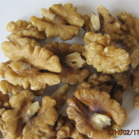 核桃仁 生核桃仁 桃仁 新疆核桃仁 Walnut kernel