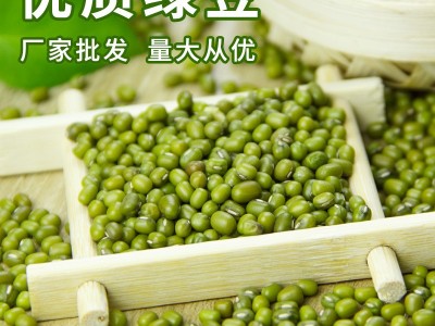 绿豆农家五谷杂粮发豆芽绿豆散装解暑绿豆汤绿豆种子熬煮豆类 批发图1