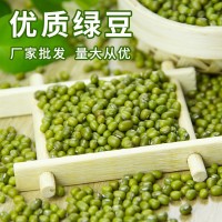 绿豆农家五谷杂粮发豆芽绿豆散装解暑绿豆汤绿豆种子熬煮豆类 批发