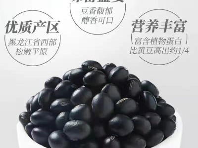 大量批发 绿心黑豆散装500g农家自产青仁黑豆发豆芽做豆浆代发图1