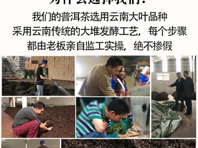 云南勐海普洱茶路氏茶叶宫廷熟茶金针细芽熟饼茶400克礼盒装热销图4
