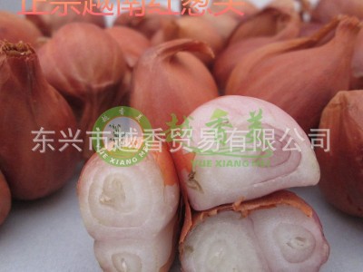 越南红葱头 新鲜晒干红葱头 小香葱头 小圆葱头 紫葱头500G3件起批图5