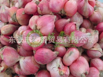 越南红葱头 新鲜晒干红葱头 小香葱头 小圆葱头 紫葱头500G3件起批图4