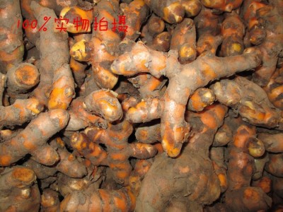 新鲜越南泰国黄姜 药材姜黄 满包邮咖哩黄姜nghe cu小指姜500g 5件起批图5