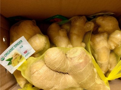 山东大姜新鲜生姜老姜月子专用姜生姜批发新鲜大姜现挖现卖图2