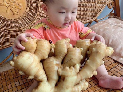 安丘生姜保鲜姜风干姜图2