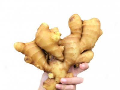 安丘生姜保鲜姜风干姜图5
