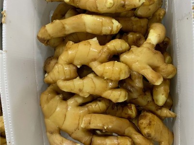 安丘生姜保鲜姜风干姜图3