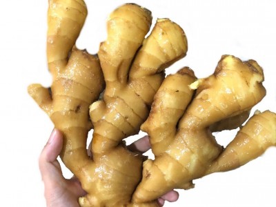 山东安丘生姜老姜现挖大黄姜老母姜新鲜蔬菜月子姜非小黄姜蔬菜图5