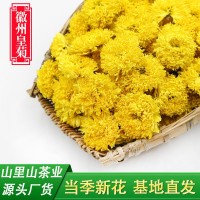 当季新花厂家直销徽州皇菊批发散装菊花茶婺源皇菊球菊休宁黄菊花