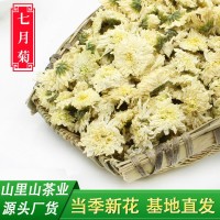 22年新花山里山安徽黄山贡菊散装菊花茶批发产地货源500克白菊花