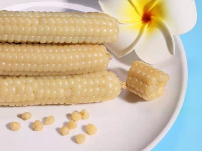 云南西双版纳粘糯拇指小玉米 儿童玉米 早餐粗粮搭档 易消化预售图2
