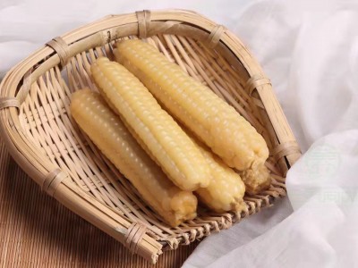 云南西双版纳粘糯拇指小玉米 儿童玉米 早餐粗粮搭档 易消化预售图1