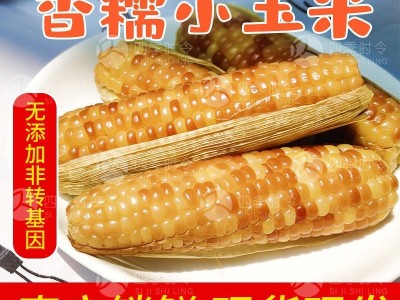 西双版纳香糯小玉米 软糯香甜 早餐粗粮 真空即食玉米棒 厂家直销图1