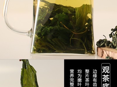 产地批发刺五加茶 吉林东北特产500g嫩叶新货长白山正品刺五加茶图3