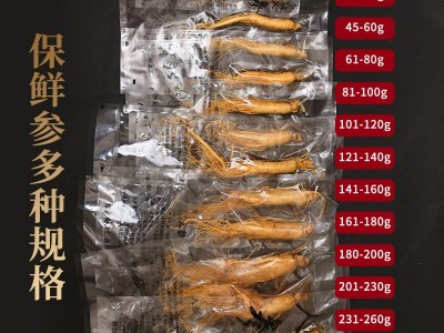 厂家直销长白山保鲜参 吉林保鲜人参东北特产新鲜人参泡酒保鲜参图2