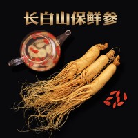 厂家直销长白山保鲜参 吉林保鲜人参东北特产新鲜人参泡酒保鲜参