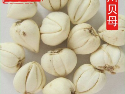 川贝母 各种规格平贝母 中药材批发图2