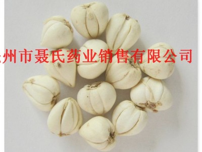 川贝母 各种规格平贝母 中药材批发图3