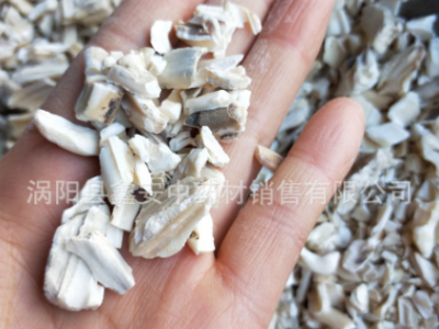 中药材批发冷背矿石类 龙齿 白龙齿 青龙齿图2