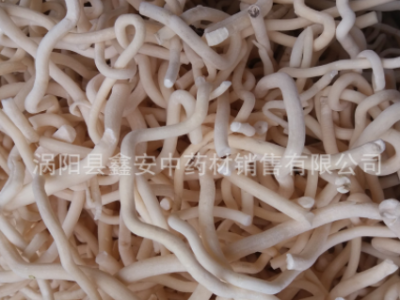 中药材 通草 小通草 通草片 量大从优 可磨粉图4