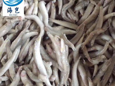 批发冷冻沙溜鱼海泥鳅 新鲜冷冻玉筋鱼 适合自助餐厅食堂厂家直销图1