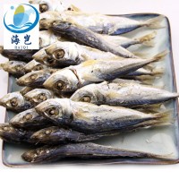 东山岛海产鱼干 淡于吧浪鱼干 适合休闲食品KTV零食烹饪厂家批发
