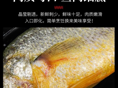 海鲜水产鲜活黄花鱼 新鲜黄鱼冷冻大黄鱼深海鱼类 连云港水产批发图2