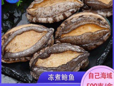 批发冻煮鲍鱼即食鲍鱼大连海鲜水产袋装加热冷冻小鲍鱼捞饭食材厂图1