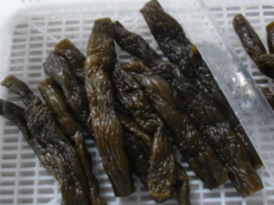 加工腌渍黄瓜 销售多规格盐渍黄瓜 潍坊厂家供应腌制黄瓜图4