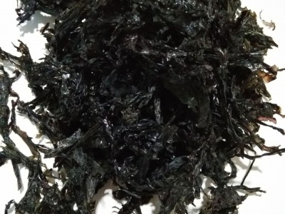 优质紫菜 散紫菜 优质碎紫菜尾巴散紫菜图1