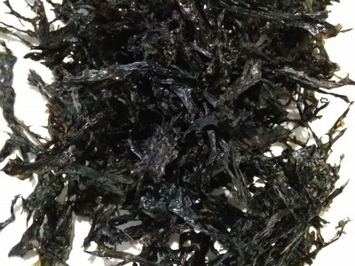 优质紫菜 散紫菜 优质碎紫菜尾巴散紫菜图5